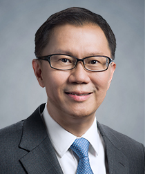 Prof Ho Teck Hua